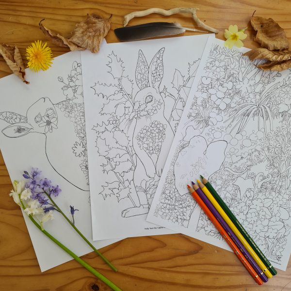 Selection of colouring pages