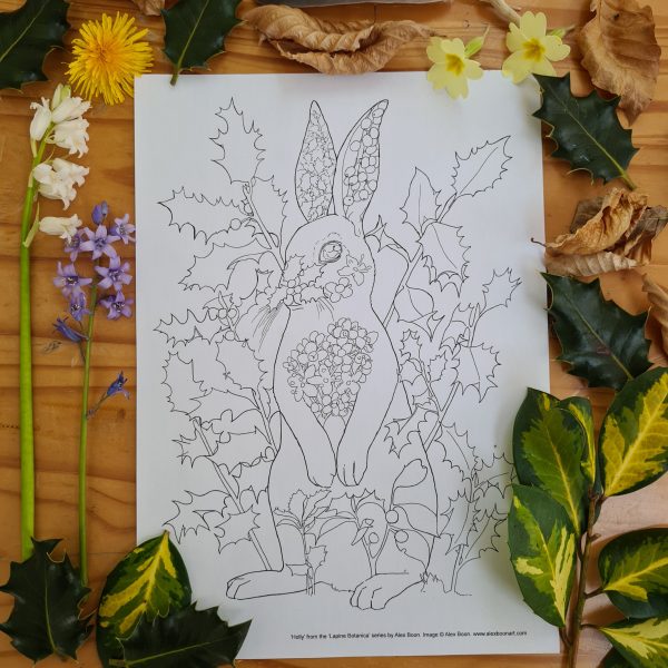 Holly rabbit colouring page