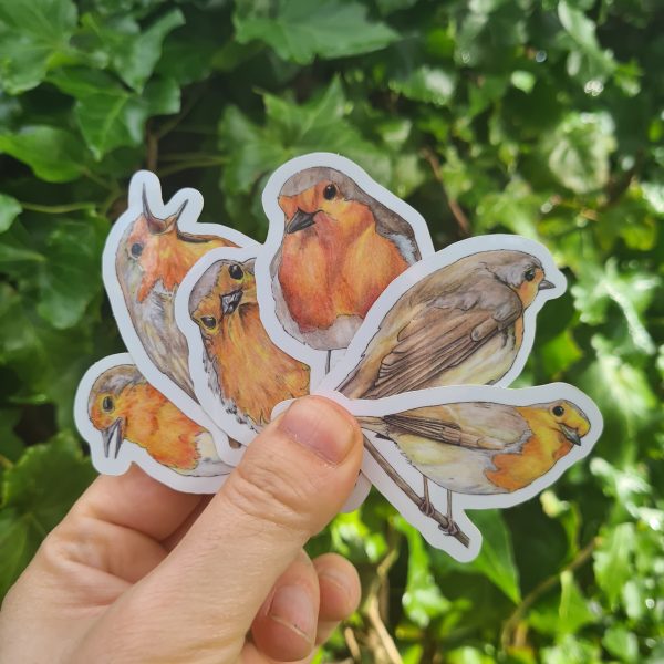 Hand holding six robin stickers