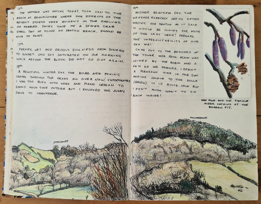 A nature journal page by Alex Boon showing a hillscape and alder catkins