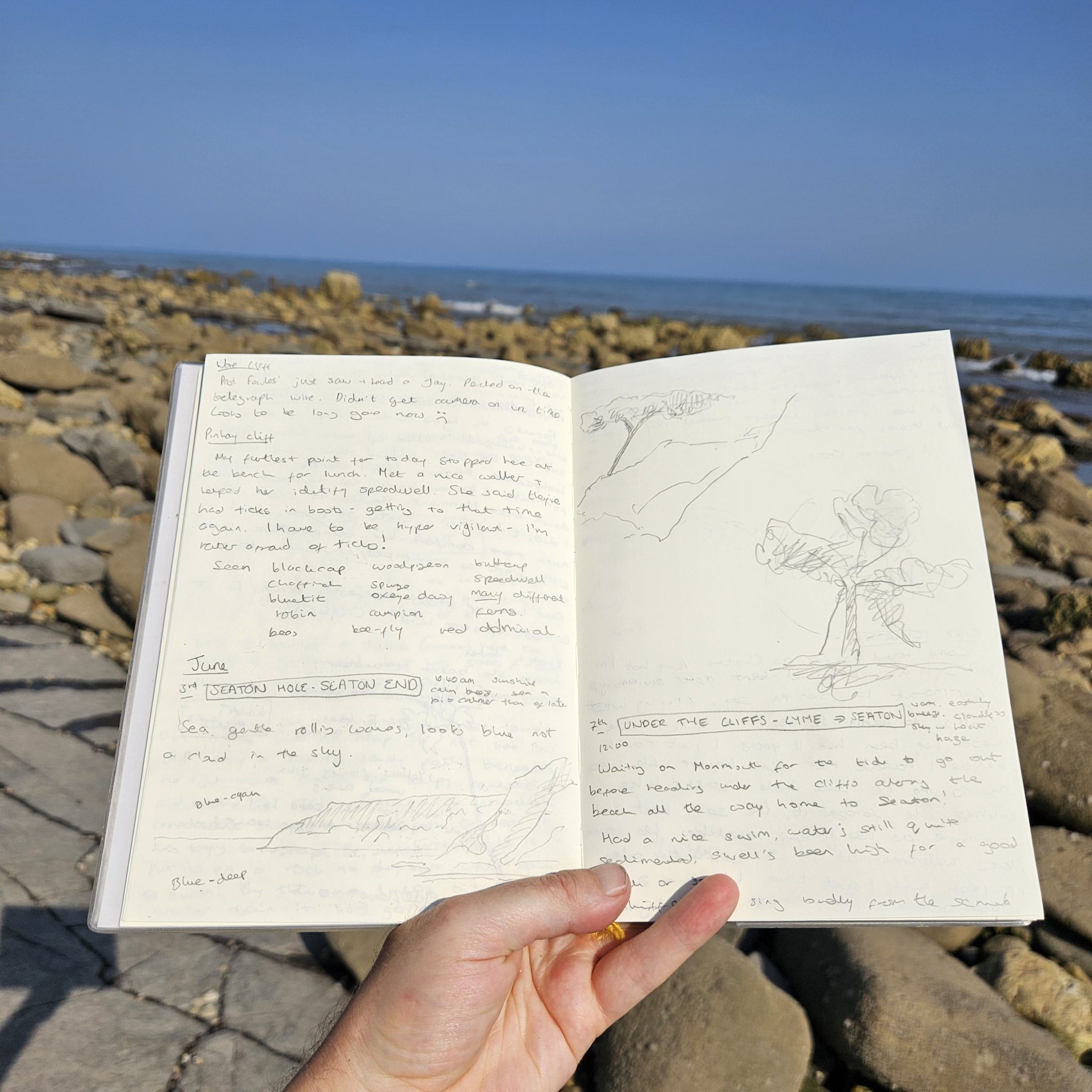 Nature Journaling - Alex Boon Art