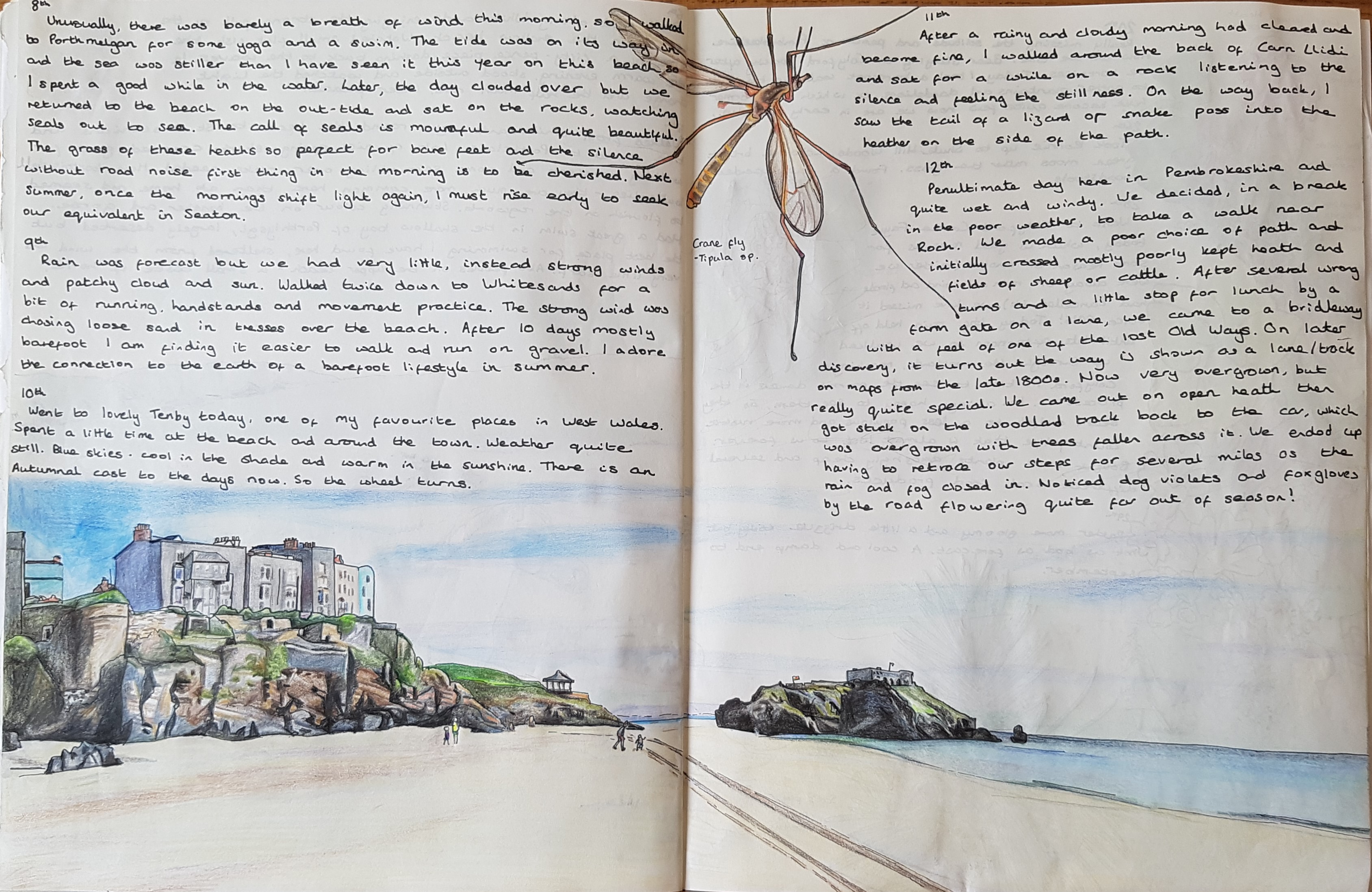 Nature Journaling - Alex Boon Art