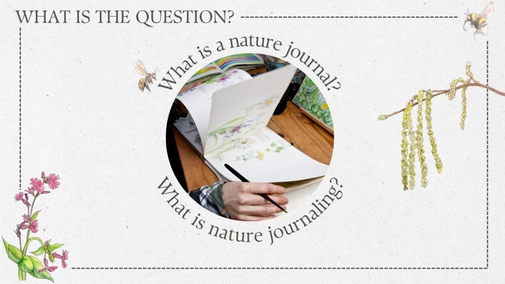 Graphic asking what is a nature journal and what is nature journaling