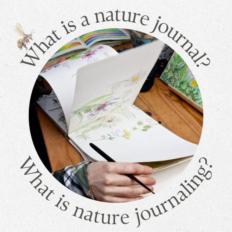 What is a nature journal or What is nature journaling graphic