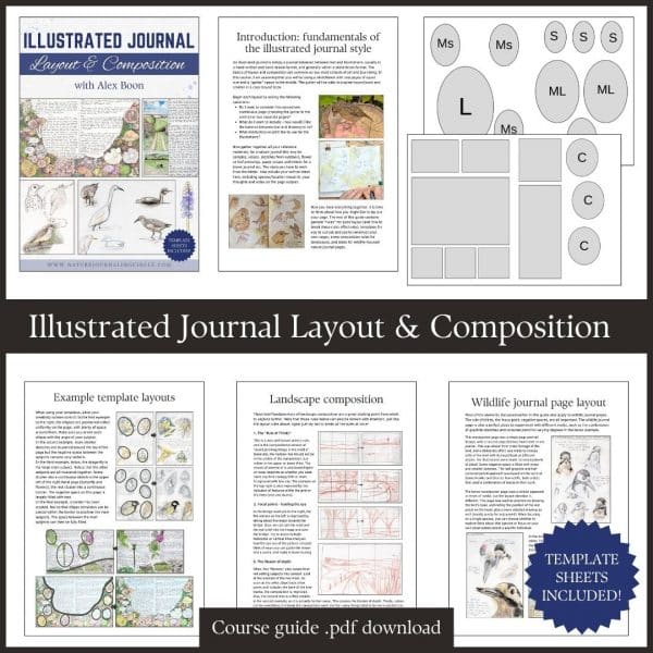 Illustrated Journal Composition and Layout Course Guide and Template Pack